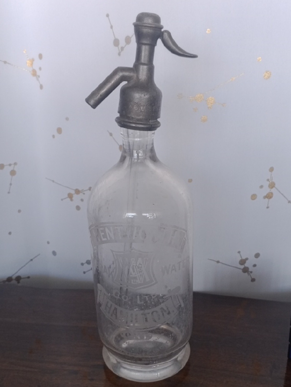 Hamilton Clear Glass Soda Siphon with Metal Spout